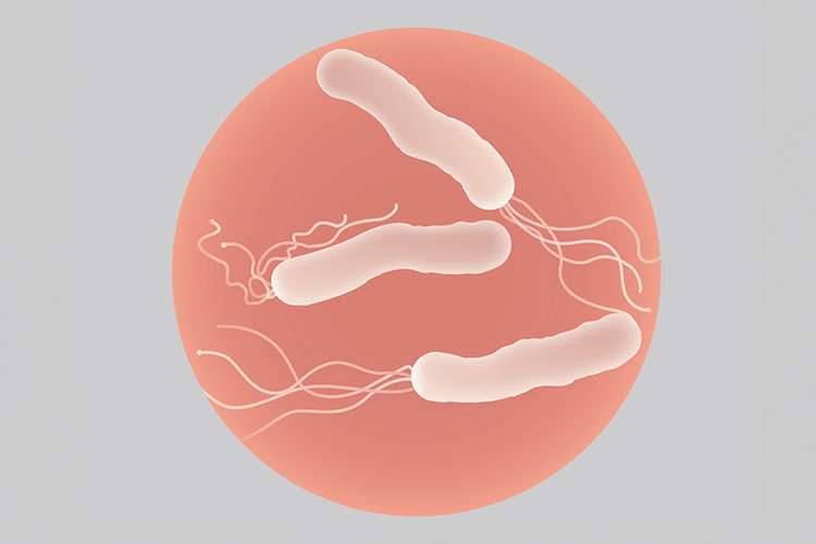 ピロリ菌検査のイメージ画像